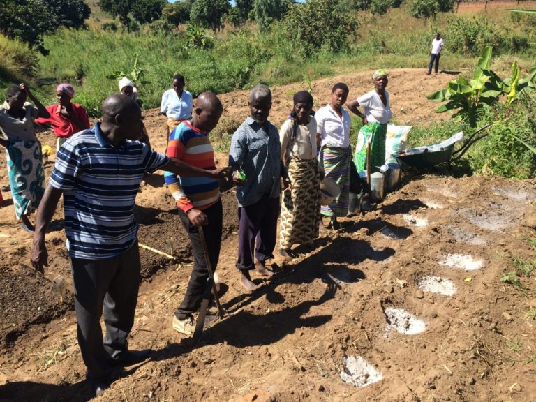 ‘7000 Meatballs from Malawi’ Italians fundraise for HIV patients