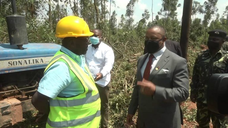 Chilima concerned with wanton cutting of trees