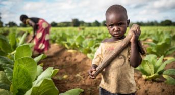 UK tobacco firms fail in bid to have Malawi child labour case struck out