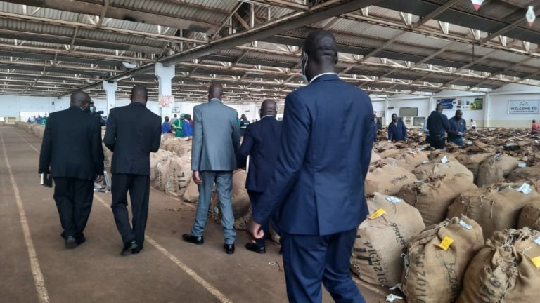 LiLongwe Tobacco Auction Suspended