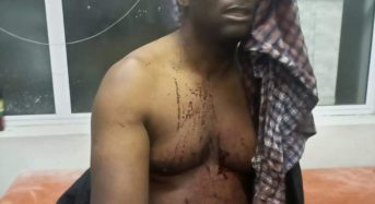 Bad Blood in DPP sees Mchacha hacked by unknown hitmen