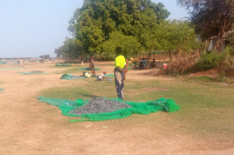 Karonga DHO bemoans continued misuse of mosquito nets