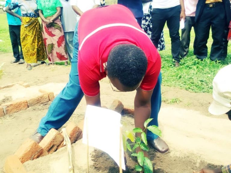 DC calls for active participation in tree planting