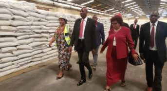 Chakwera fires Minister Lowe over AIP saga. Kawale new Agriculture Minister