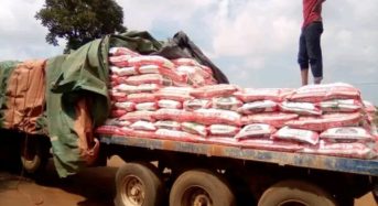 Lilongwe man  arrested for stealing bags of fertilizer from a moving vehicle