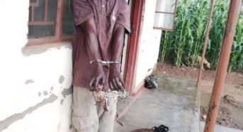 Lilongwe man Andrew Mthiko arrested for selling dog meat
