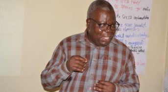 Ken Lipenga Jr, Mustafa Hussein promoted to the rank of Proffessor