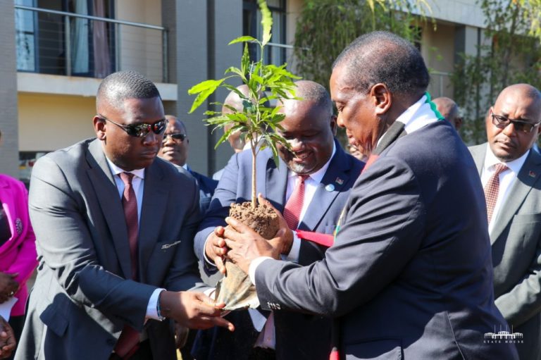 Mnangagwa in historic environment conservation in Malawi as he plant a tree at Parliament