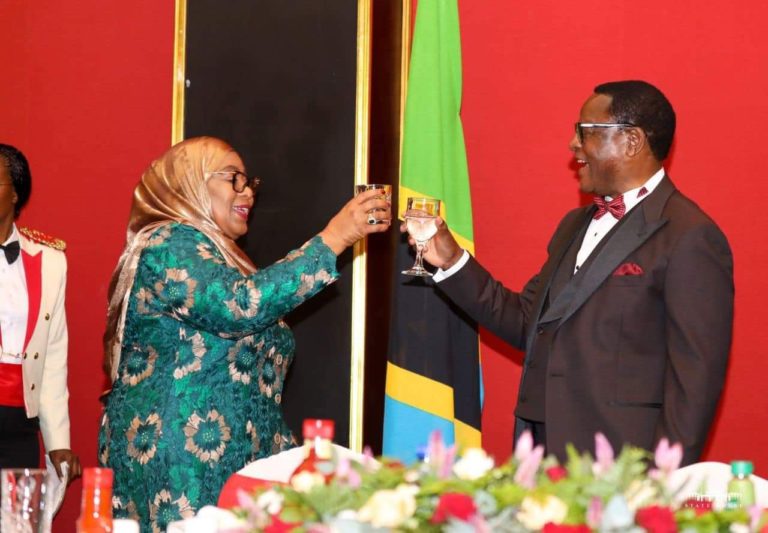 Tanzania, Malawi commit to double efforts in the fight against crossboarder crimes