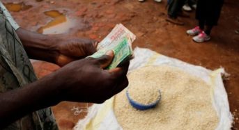 IFPRI predicts worsen maize price increase, calls on Govt, ADMARC to intervene
