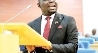 2023-2024 budget review exposes K12.56 public debts
