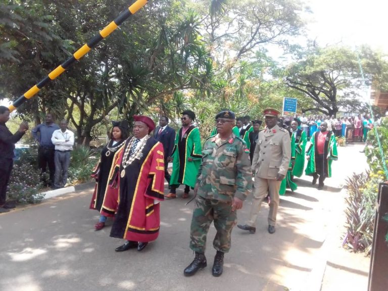 Lilongwe City Council, MDF holds a solidarity march