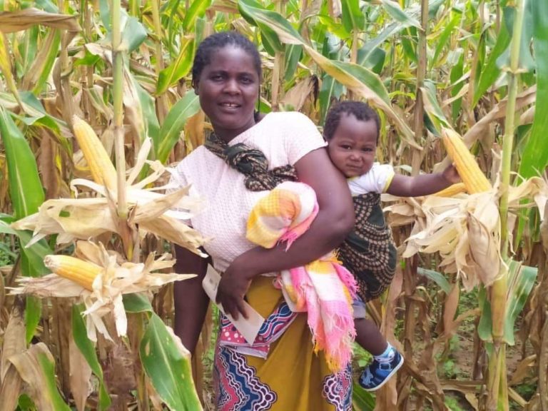 IWMI and WFP to start new partnership for food, land and water security in fragile communities