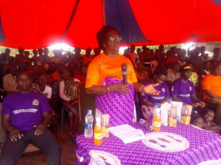 Former deputy IG urges GBV victims to report cases  to the relevant Authorities