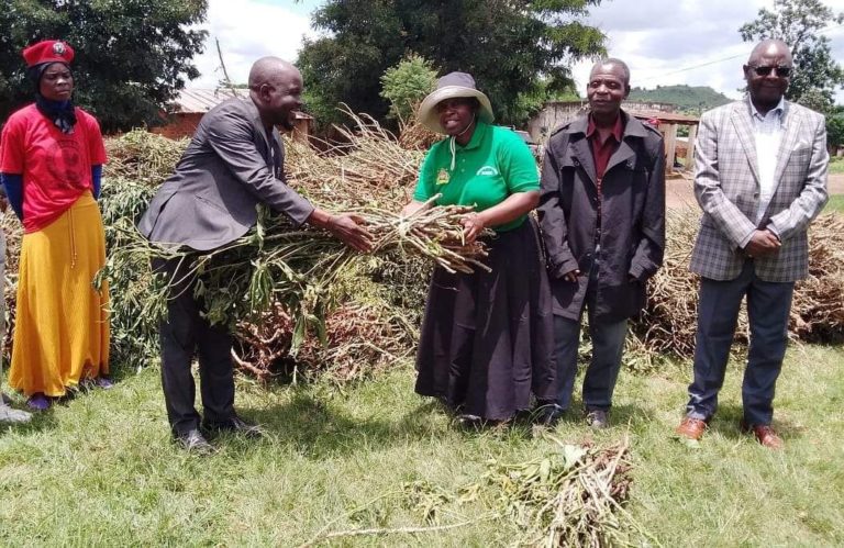 Dedza MP Savel Kafwafwa explores farming interventions for food security