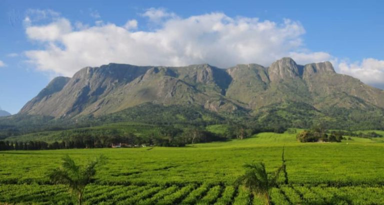 Malawi needs vibrant partnership in order to unlock and stimulate investment opportunities