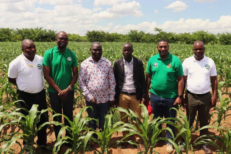 Farmers eye bumper yields with NEEF loans
