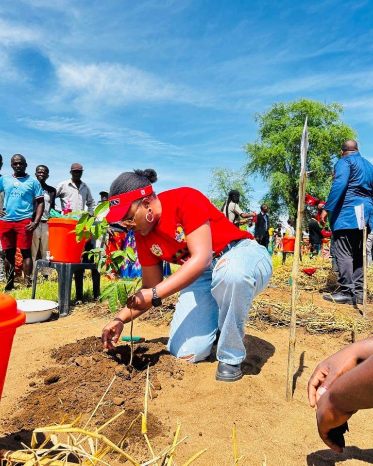 Government urges collaborative efforts in tree management