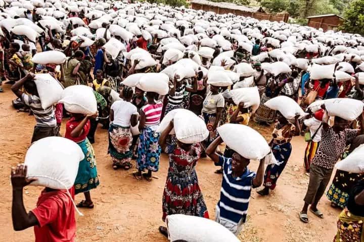 Free maize distribution Malawi