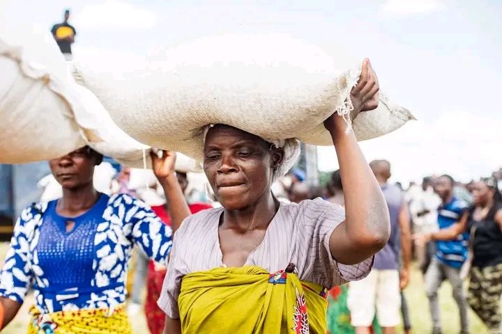 Prophet Bushiri donates Maize