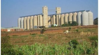 The selling of rotten admarc Maize was disappointing