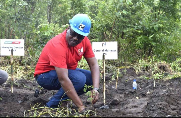 PIL plants 6000 trees in Soche Mountain