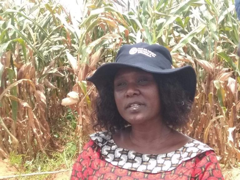 Farmers cautioned against selling maize to vendors
