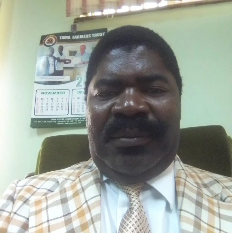 Blantyre Tobacco Season Opens with High Prices at Limbe Auction Floors