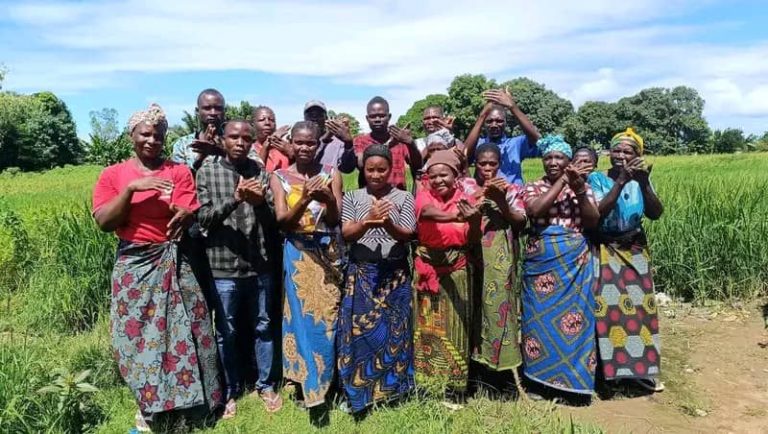 COMSIP supports groups to procure best seed varieties, fertilizer and pesticides