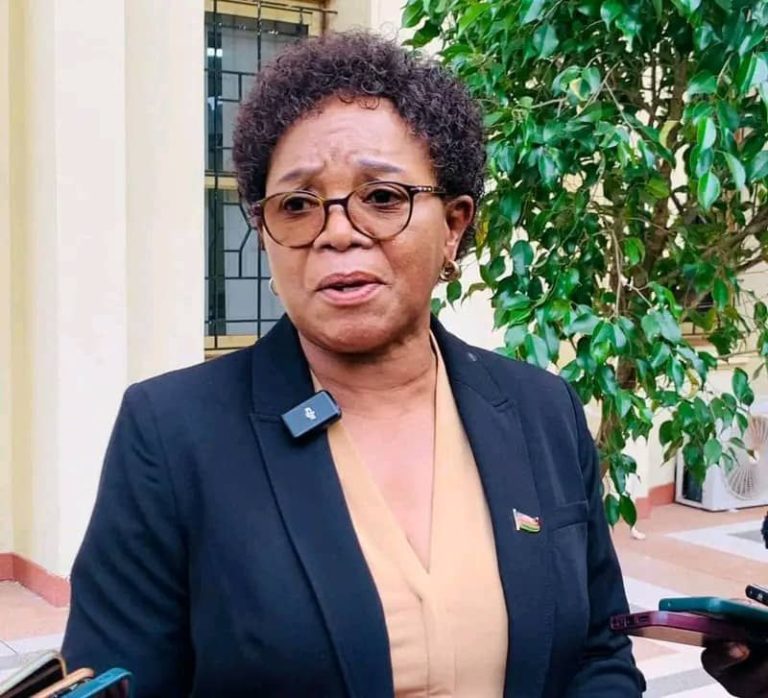 Malawi and Iceland launch projects in Mangochi and Nkhotakota
