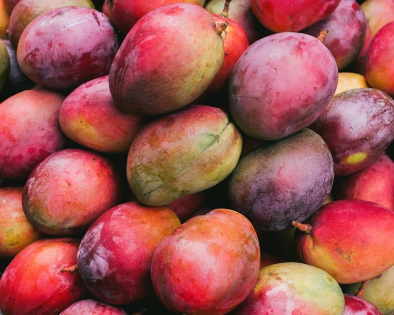 Malawi tops Africa in mango production