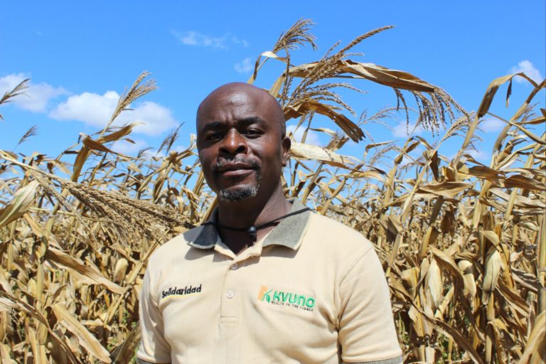 From Fields to Gifts: Kvuno Empowers Farmers with Zwardy Points Redemption Programme