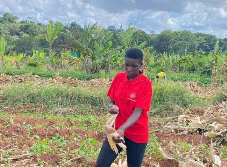 Malawian Students Advocate for Agricultural Innovation from China