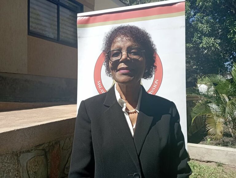 Law Commission Urges Parliament to Address Enforcement Abuse, Not Just Laws