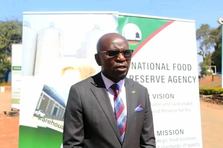 NFRA CEO calls for collaboration to boost maize procurement