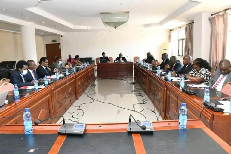 Parliament of Malawi briefs media committee on compliance with access to information act