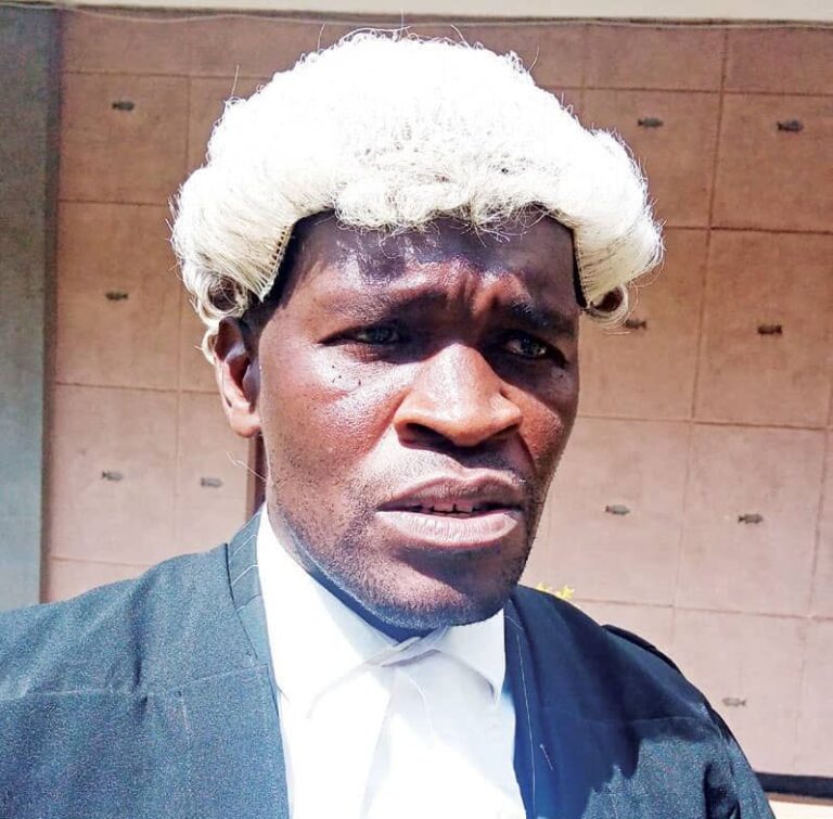 Chakaka-Nyirenda slams MLS over senior ounsel appointment