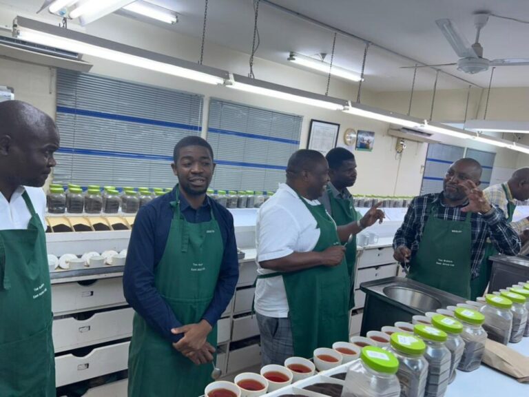 From Malawi’s Tea Sector to Southern Africa: Solidaridad Breaks Barriers for Women Across the Region