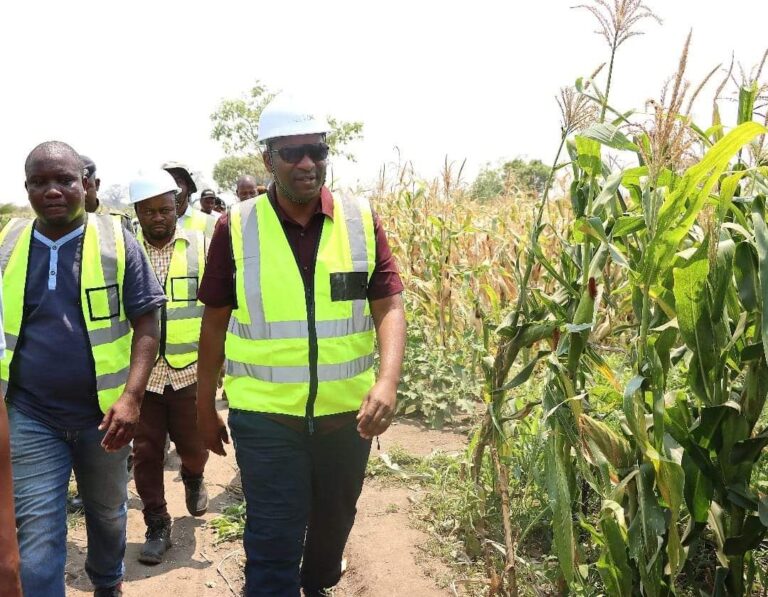 Agriculture Minister Kawale assures Malawians of food security