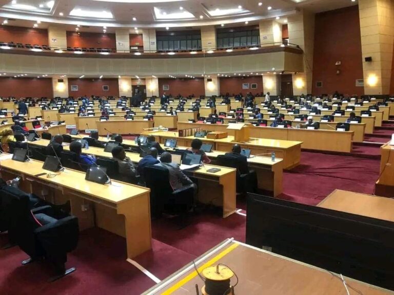 Interpreting the low turnout of lawmakers in Malawi Parliament: Implications for taxpayers and constituencies
