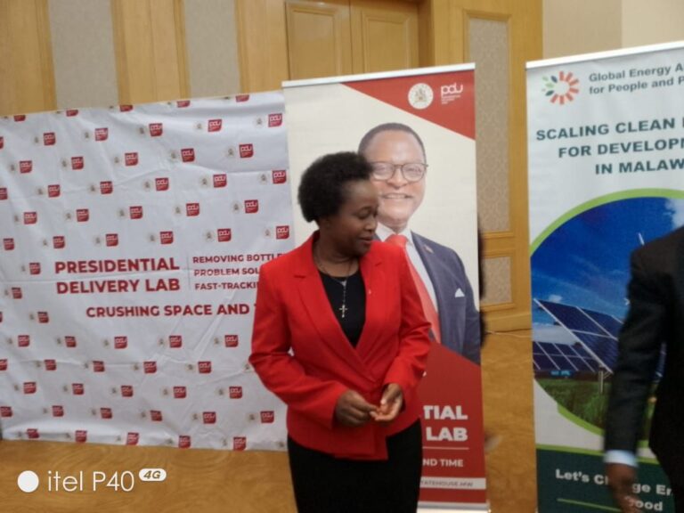 Govt pushes for coordination in energy sector