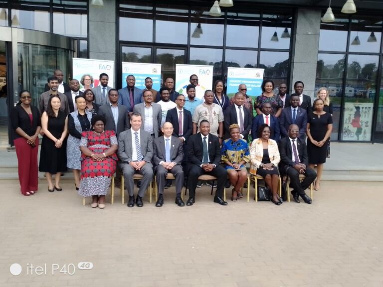FAO launches country programming framework&nbsp; for Malawi for 2024-2028