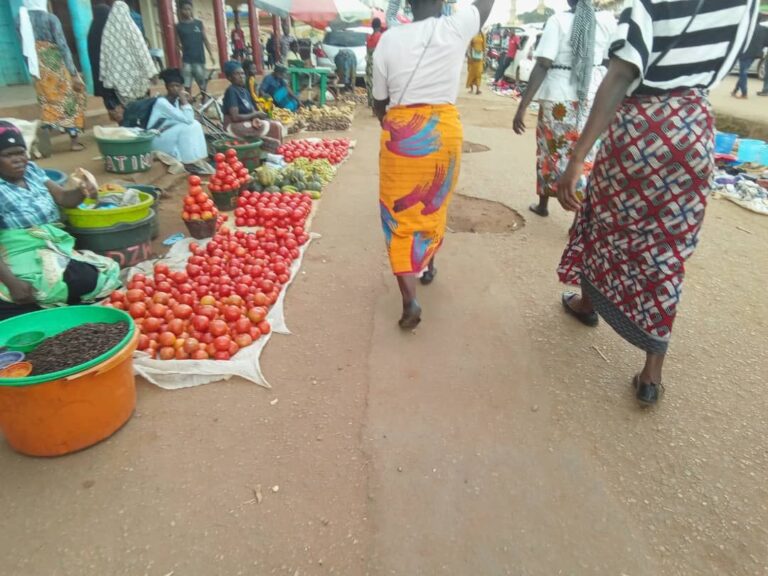 An Analysis of the Working and Business Community Perspective in Malawi