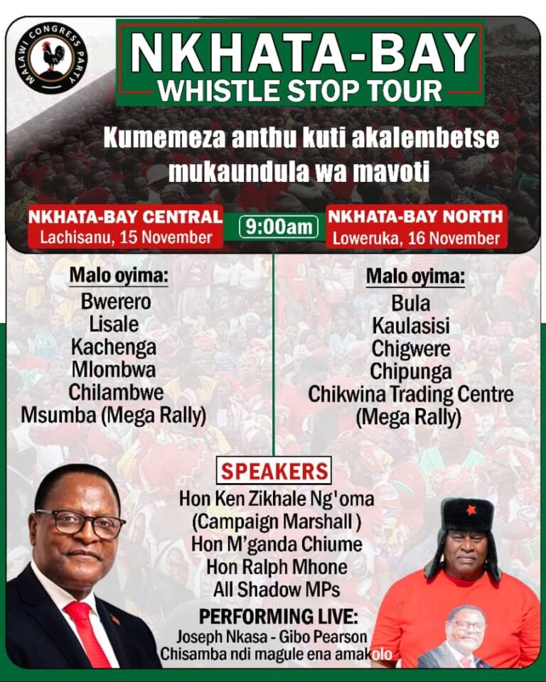 Zikhale in a rallying call for people to register to vote