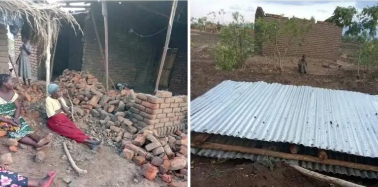 Cyclone Chido death toll rises to 7