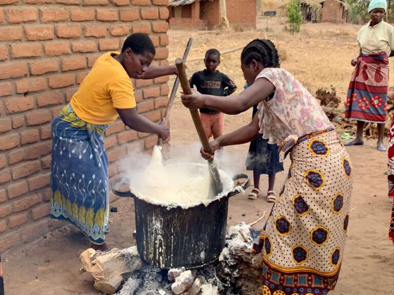 Ensuring Food Security in Malawi: Strategies to Combat Drought and Enhance Maize Production