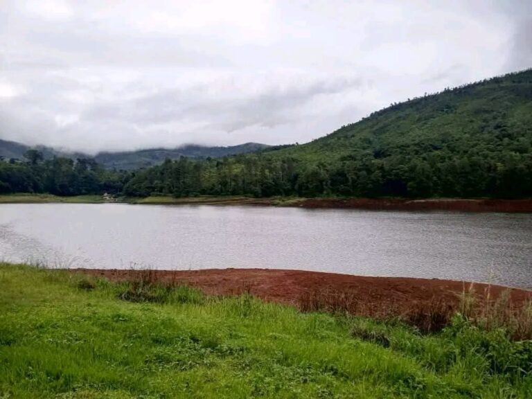 Government Deploys Military to Protect Zomba Plateau from Deforestation