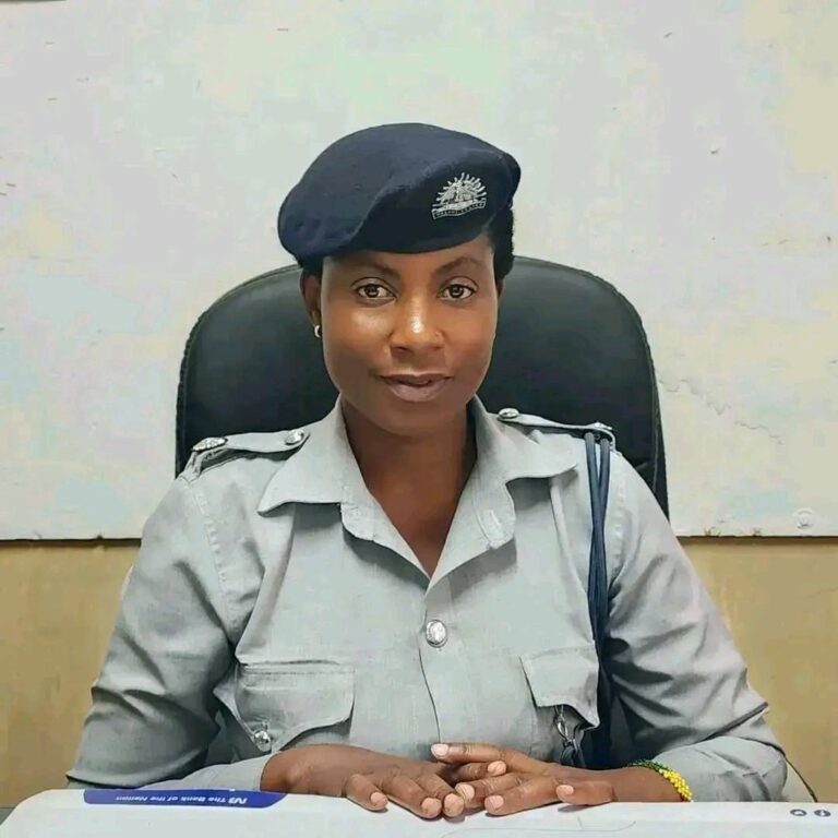 Police hunt for Village Headman, others over vandalism of Government property