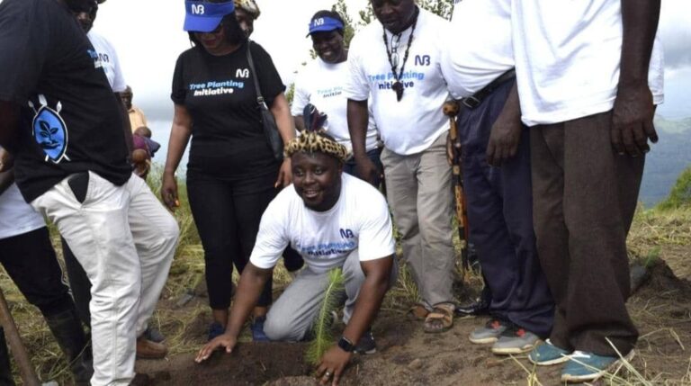 NBM plc, youth organisation plant 2,000 trees in Ntcheu