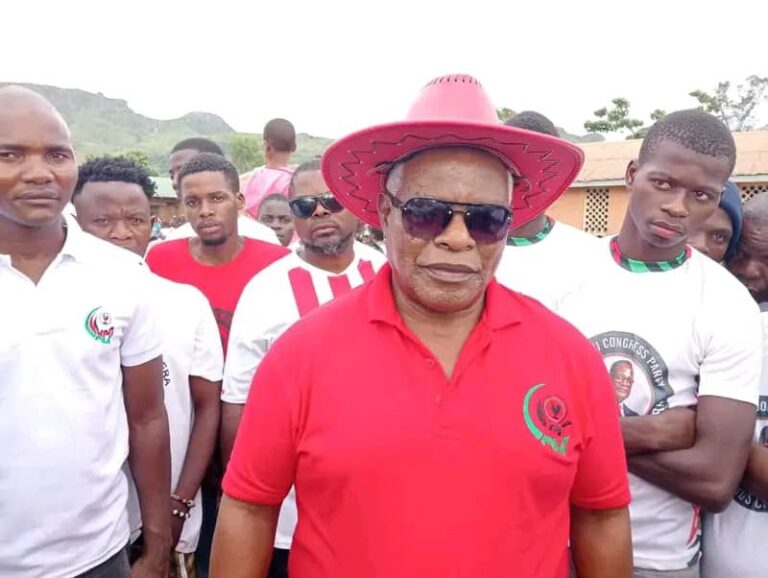 Brown Mpinganjira criticizes opposition leaders for undermining government development efforts